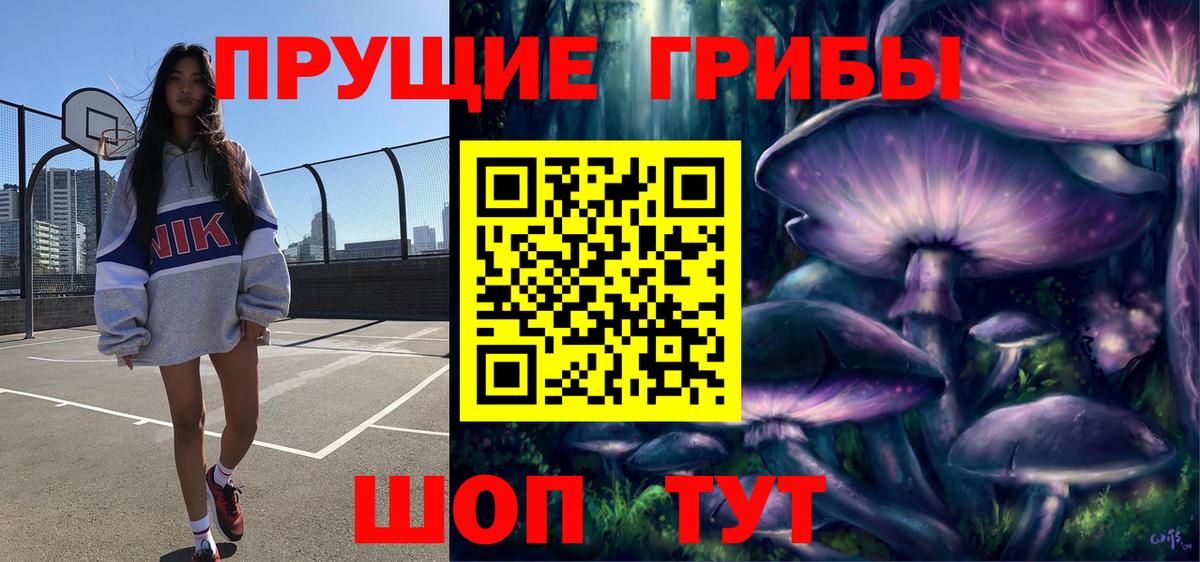 где продают наркотики  Псилоцибиновые грибы Psilocybe  Вход с VPN  Шали  Псилоцибиновые грибы прущие грибы 