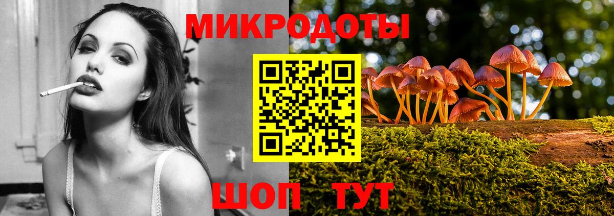 Псилоцибиновые грибы Psilocybe Шали